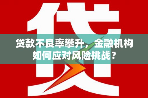柳东贷款不良率攀升，金融机构如何应对风险挑战？