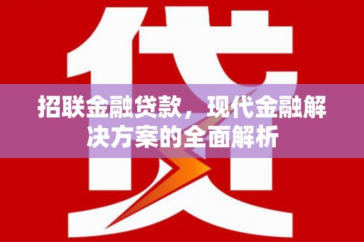 柳东招联金融贷款，现代金融解决方案的全面解析