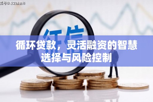 柳东循环贷款，灵活融资的智慧选择与风险控制