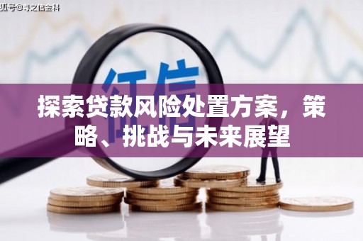 柳东探索贷款风险处置方案，策略、挑战与未来展望