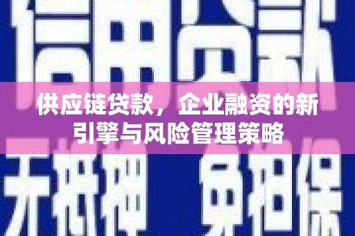 柳东供应链贷款，企业融资的新引擎与风险管理策略