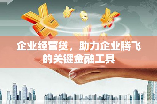 柳东企业经营贷，助力企业腾飞的关键金融工具