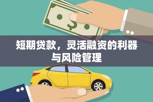 柳东短期贷款，灵活融资的利器与风险管理