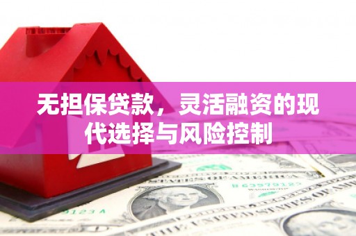 柳东无担保贷款，灵活融资的现代选择与风险控制
