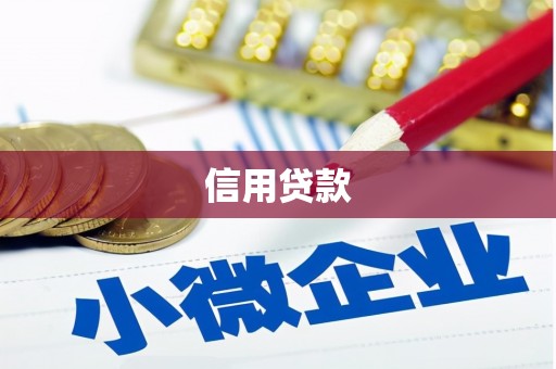 柳东信用贷款