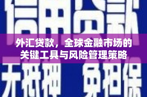 柳东外汇贷款，全球金融市场的关键工具与风险管理策略