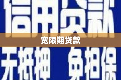 柳东宽限期贷款