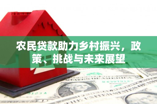 柳东农民贷款助力乡村振兴，政策、挑战与未来展望