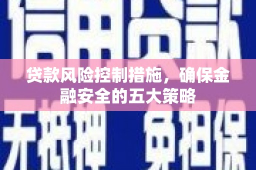 柳东贷款风险控制措施，确保金融安全的五大策略