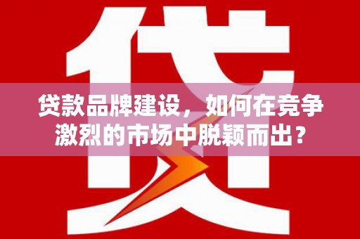 柳东贷款品牌建设，如何在竞争激烈的市场中脱颖而出？