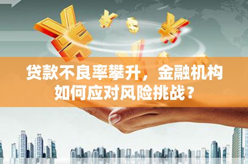 柳东贷款不良率攀升，金融机构如何应对风险挑战？