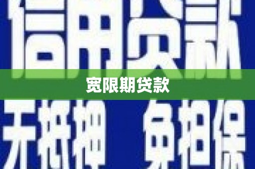 柳东宽限期贷款