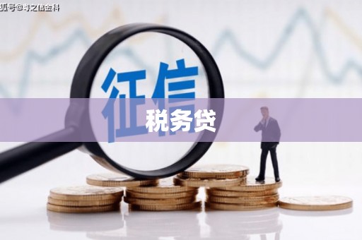 柳东税务贷