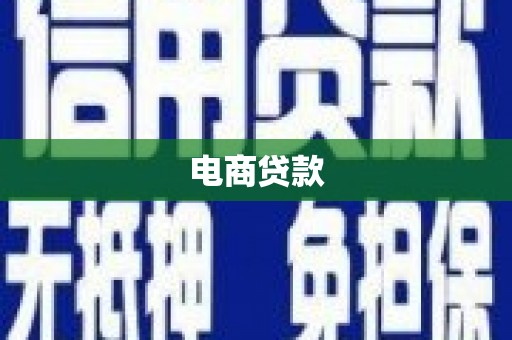 柳东电商贷款