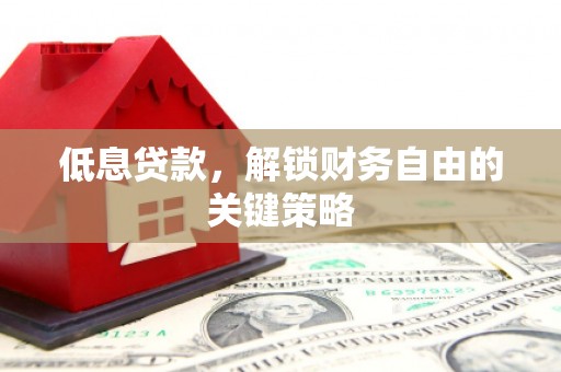 柳东低息贷款，解锁财务自由的关键策略