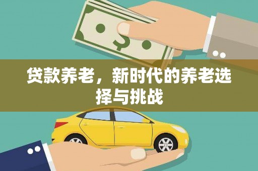 柳东贷款养老，新时代的养老选择与挑战