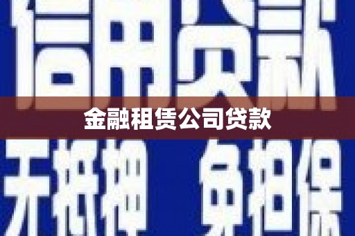 柳东金融租赁公司贷款