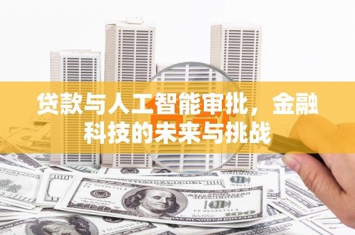 柳东贷款与人工智能审批，金融科技的未来与挑战