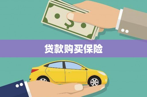 柳东贷款购买保险