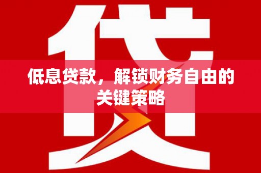 柳东低息贷款，解锁财务自由的关键策略
