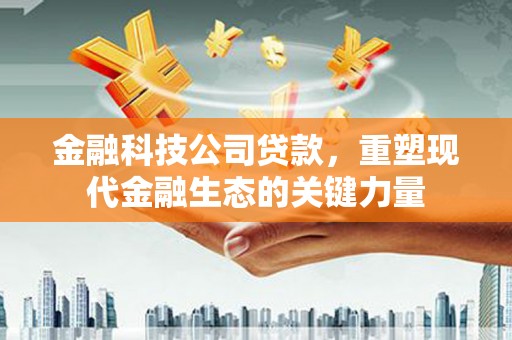 柳东金融科技公司贷款，重塑现代金融生态的关键力量