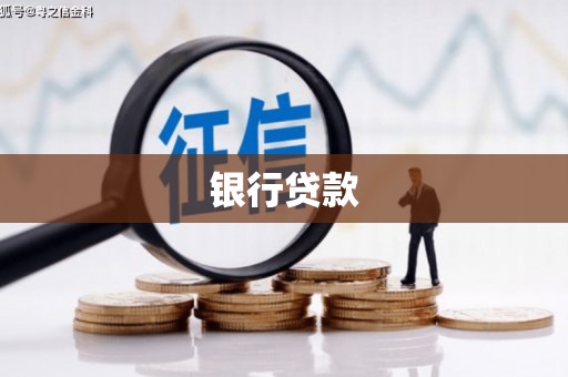柳东银行贷款