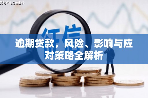 柳东逾期贷款，风险、影响与应对策略全解析