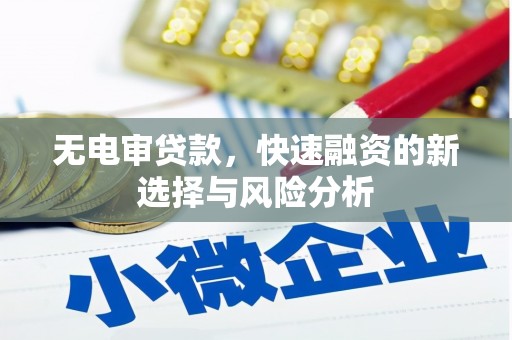 柳东无电审贷款，快速融资的新选择与风险分析