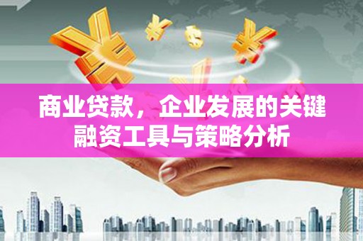 柳东商业贷款，企业发展的关键融资工具与策略分析