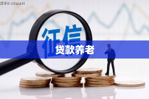 柳东贷款养老