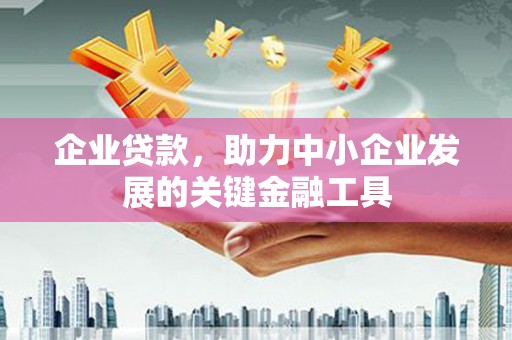 柳东企业贷款，助力中小企业发展的关键金融工具