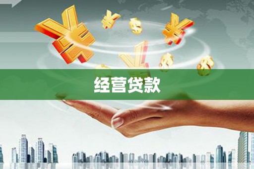 柳东经营贷款