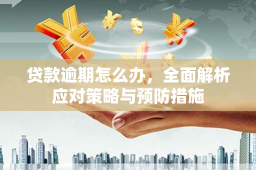 柳东贷款逾期怎么办，全面解析应对策略与预防措施