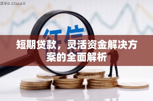 柳东短期贷款，灵活资金解决方案的全面解析