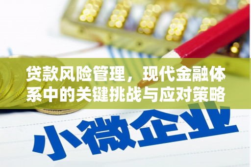 柳东贷款风险管理，现代金融体系中的关键挑战与应对策略