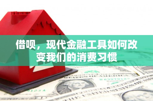 柳东借呗，现代金融工具如何改变我们的消费习惯