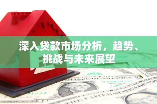 柳东深入贷款市场分析，趋势、挑战与未来展望
