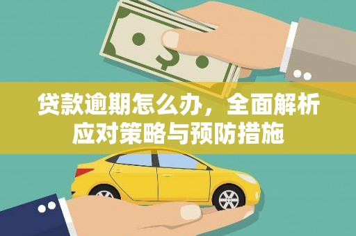 柳东贷款逾期怎么办，全面解析应对策略与预防措施