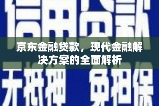 柳东京东金融贷款，现代金融解决方案的全面解析