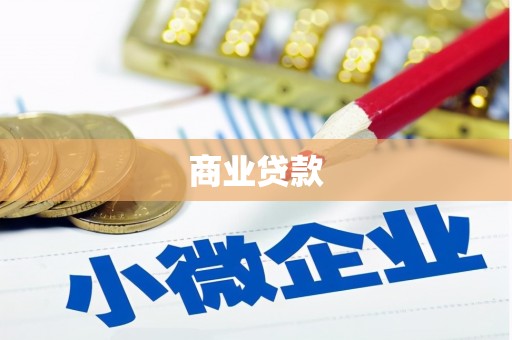 柳东商业贷款