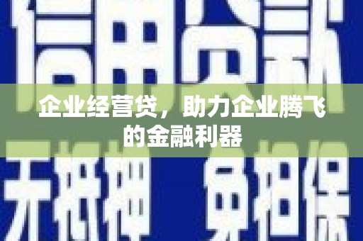 柳东企业经营贷，助力企业腾飞的金融利器