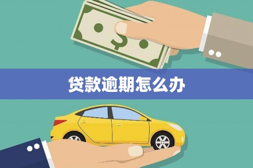 柳东贷款逾期怎么办