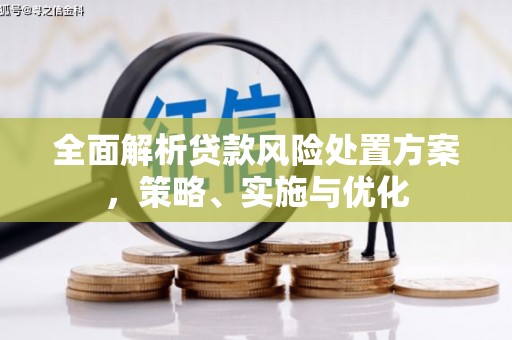 柳东全面解析贷款风险处置方案，策略、实施与优化