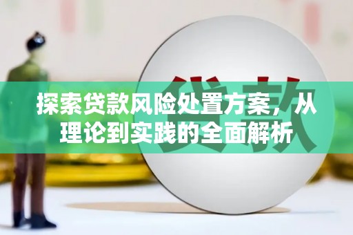 柳东探索贷款风险处置方案，从理论到实践的全面解析