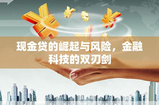 柳东现金贷的崛起与风险，金融科技的双刃剑