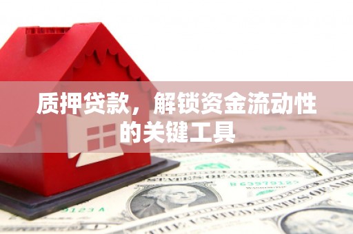 柳东质押贷款，解锁资金流动性的关键工具