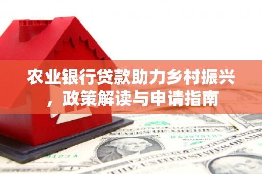 柳东农业银行贷款助力乡村振兴，政策解读与申请指南