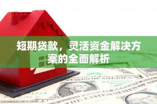 柳东短期贷款，灵活资金解决方案的全面解析
