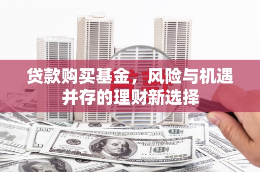 柳东贷款购买基金，风险与机遇并存的理财新选择