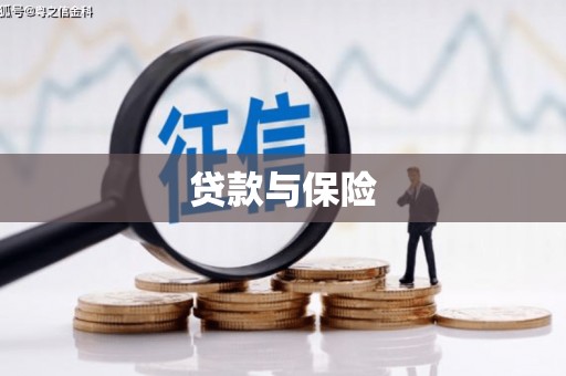 柳东贷款与保险